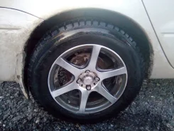 Contyre Expedition. ������, ����������, �/�, ����� 5�%