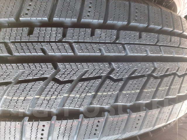Fortuna. ������, ��� �����, 2019 ���, ����� ����