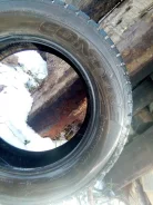 Contyre Arctic Ice II. ������, ����������, 2017 ���, �/�, ����� 5 % ����