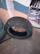 Triangle TR787. ������, ����������, �/�, ����� 30�%