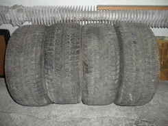 Federal Himalaya. ������, �/�, ����� 20�%
