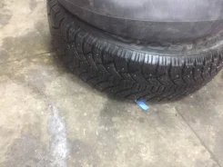 Medeo Winter. ������, ����������, 2008 ���, �/�, ����� 50�%