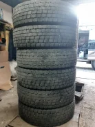 Triangle TRD06. ������, ��� �����, 2018 ���, �/�, ����� 10 % ����