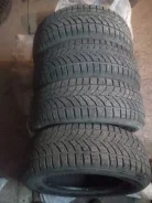 Bridgestone Winter Radial WT-17. ������, ����������, �/�, ����� 10�%