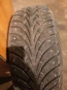 Sava Eskimo Stud. ������, ����������, 2016 ���, �/�, ����� 10�%