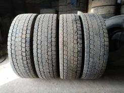 TyRex. �����������, 2017 ���, �/�, ����� 20 % ����