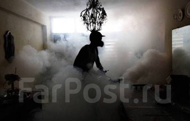 Холодный туман Средство яд отрава от насекомых: клопов тараканов блох ...