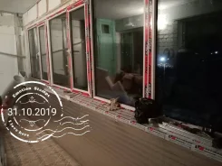 ����. ����