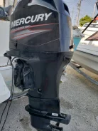 Mercury. 115��.�., 4-�������, ����������, ���� X (635 ��), 2014 ��� ����