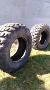 Gremax Capturar CF20. �����������, 2014 ���, ����� ����