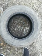Michelin 4x4 Alpin. �����������, �/�, ����� 30 % ����