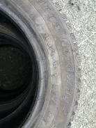 Tunga Nordway 2. ������, ����������, 2018 ���, �����