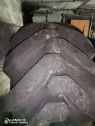 NorTec ��-16�. �����������, 2019 ���, ����� ����