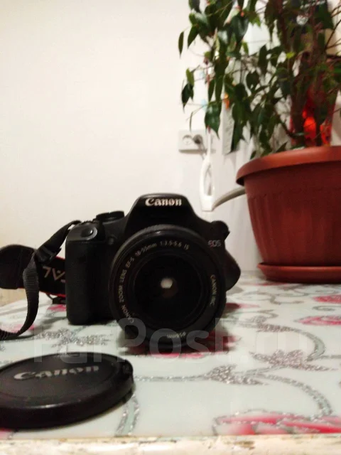 Canon EOS 500D. 15 - 19.9 ��, ���: 14� � ����� ����