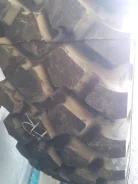 Michelin XZL. �����������, 2013 ���, ����� ����