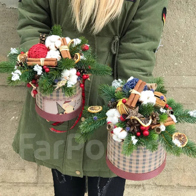 Новогодний Домашний Цветок