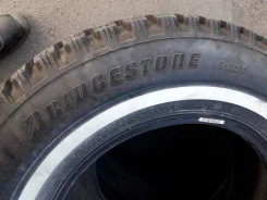 Bridgestone Winter Radial WT-14. ������, ����������, 2011 ���, ����� ����