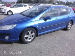 Peugeot 407. EW10 ����