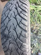 RoyalBlack Royal Stud. ������, ����������, 2018 ���, �/�, ����� 5�%