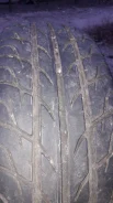 Tigar Prima. ������, 2016 ���, ����� ����