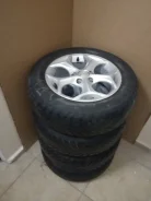 Alba. x15" ����