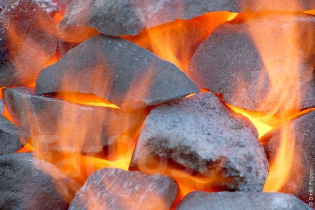 локации племени теней на кэт вар. лагерь грозового племени catwar. нагретые камни. нагретые камни коты воители фон. лес с нагретыми камнями.