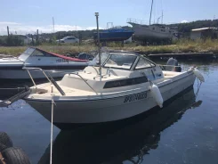 Yamaha Fish 22. 1993 ���, ����� 6,7��., ��������� ���������, 70��.�., ������ ����