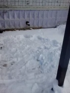 ������ ����� ����