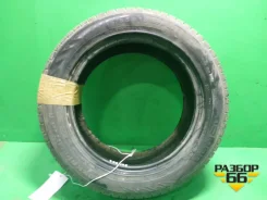 Nokian Hakkapeliitta R