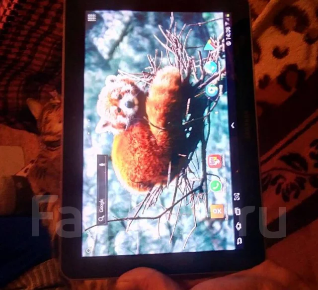 Samsung Galaxy Tab 10.1 ����