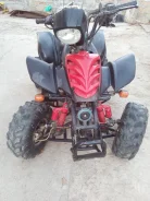 Bashan. �������� ����