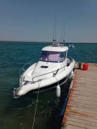 Galia. 2004 ���, ��������� ���������, 140��.�., ������ ����