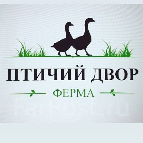 Птичий дворик адрес. Ферма логотип. Птичий дворик адрес. Птичий дворик адрес. Вывеска птичий дворик.