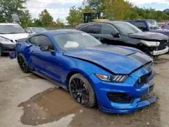 Ford Mustang. ��������, ������, 5.2, ������, 30 000����. ��, �/�. ��� ����� �� ���������� ����