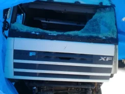 DAF XF105 ����