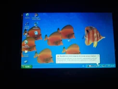 Asus Eee PC. 7", 0,8����, ��� 256 �� � ������, ���� 256���, WiFi: 1, ����������� �� 2��. ����