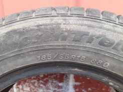 NorthTrek N2. ������, ��� �����, 2010 ���, �/�, ����� 40�%