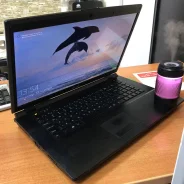 DNS Gamer. 17.3", 2,3����, ��� 8 ��, ���� 1 000���, WiFi: 1, Bluetooth: 1 ����