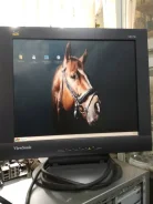ViewSonic. 17" ����