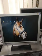 BenQ. 17" ����