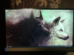 AOC. 24"