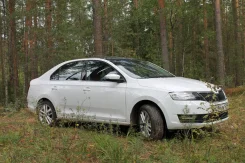 Skoda Rapid. �������, ��������, 1.6 (110��.�.), ������, 52����. �� ����