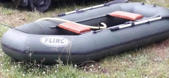 Flinc. 2019 ���, ����� 2,00��., ��������� ���������, 5,00��.�. ����