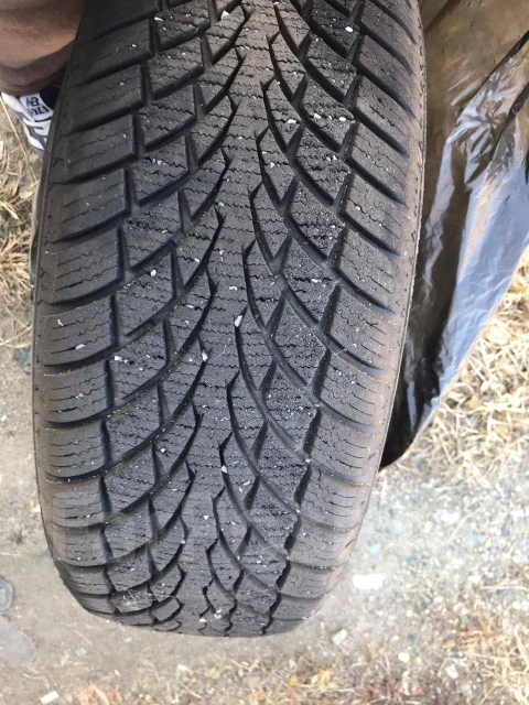 Sonar PF-2. ������, ��� �����, 2016 ���, �/�, ����� 10 % ����