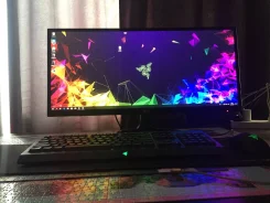 LG. 29", ���������� OLED ����