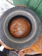 Bridgestone Winter Radial WT-14. ������, ����������, 2012 ���, �/�, ����� 30�%