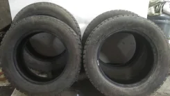 Dunlop SP Sport. ������, ����������, 2018 ���, �/�, ����� �� 5�%