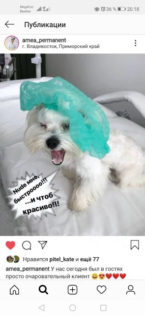 ����������� �������. ����