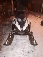 BRP Ski-Doo Expedition Sport. ��������, ���� ���, � �������� ����