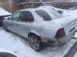 Honda Ascot ����